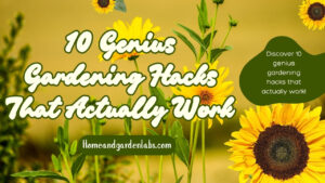 Gardening Hacks